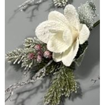 _